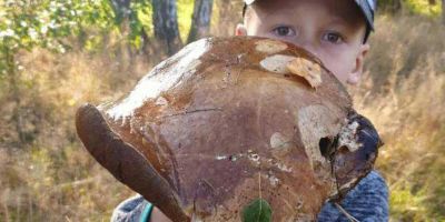 Pokoje Gościnne Aris Wojnicz - foto 4