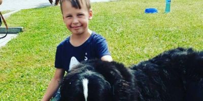 Pokoje Gościnne Aris Wojnicz - foto 5