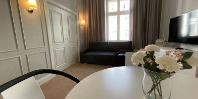 Apartament STYLOWY Poznań - foto 3