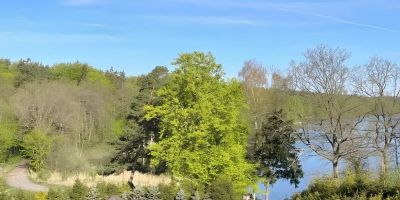 Dom nad Jeziorem - Basen - Sauna - Jacuzzi - Kort tenisowy Zduny - foto 2