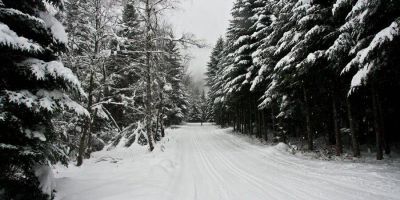 Villa Neve Ustrzyki Dolne - foto 4
