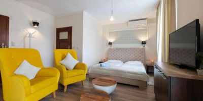 SEO Rewal - foto 3