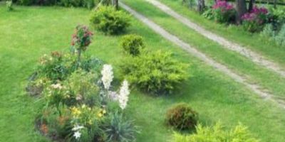 Gospodarstwo agroturystyczne Biebrzanska Goscina Karczewo - foto 4