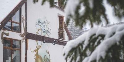 Monti Chalet Poiana Brașov - foto 2