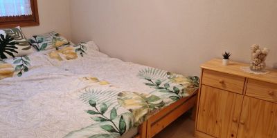 Vizslavár-lak Vendégház Abádszalók - foto 5
