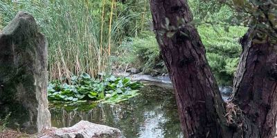 Mediterrán Vendégház Zebegény - foto 4