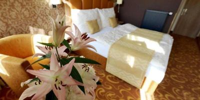 Hotel Zlatá včela Domažlice - foto 4
