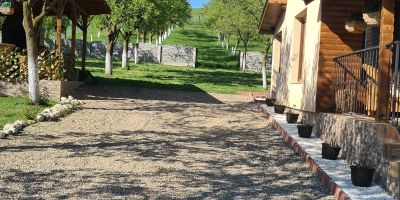 Casa Isabel Vâlcele - foto 4