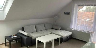 Apartmány Světlá nad Sázavou - foto 5