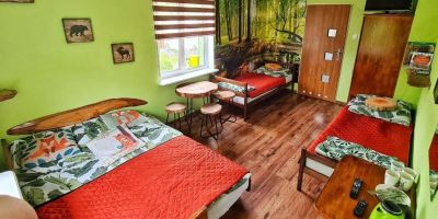 Agroturystyka Nowy Kraków Jeżyce - foto 5