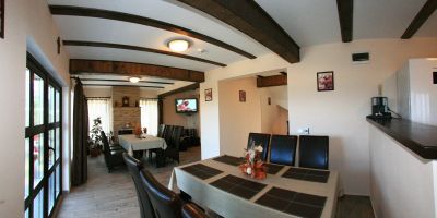 Vila Romanița Păltiniș - foto 5