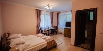 Agropensiunea Casa Măiereană Anieș - foto 2