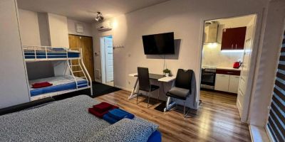 Apartament Lublin Stare Miasto "Bob Cat" - foto 3