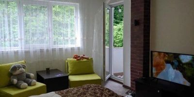 Casa Elena Brădetu - foto 2