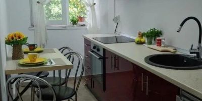 Casa Elena Brădetu - foto 4