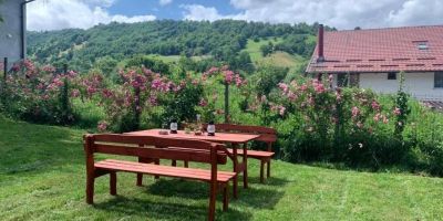 Casa din Grădină Moieciu de Jos - foto 2