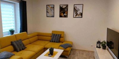 Apartmán Pod Bukem Červená Voda - foto 3