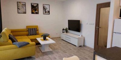 Apartmán Pod Bukem Červená Voda - foto 5