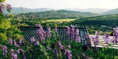 Felhőfészek Vendégház Verőce - foto 5