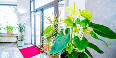 Hotel Guci Constanța - foto 4