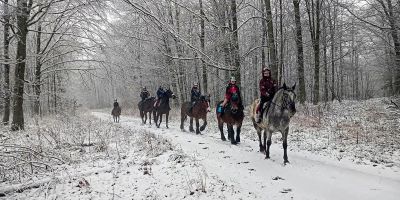 Vendégház Srokowo - PMA028 - foto 5