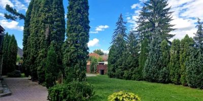 Casa Botimi Covasna - foto 3