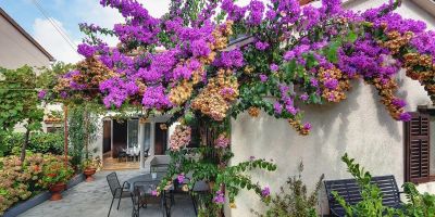 Casa Aurora Pomer - foto 2