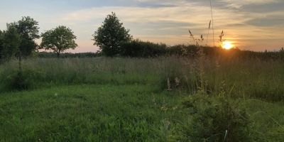 Kékcinke Vendégház az Őrségben Kercaszomor - foto 2