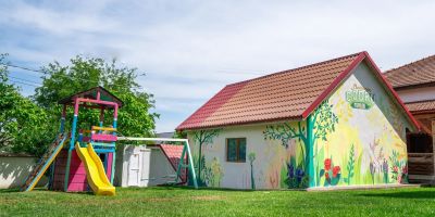 Pensiunea Codru Topolog - foto 4