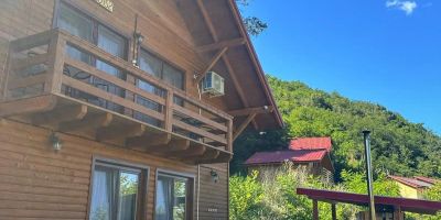 Casa Favorit Orăştioara de Sus - foto 4