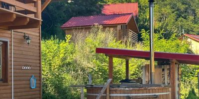Casa Favorit Orăştioara de Sus - foto 5