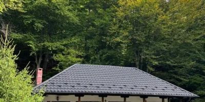 Pensiunea Poiana Mucenicului Arefu - foto 5