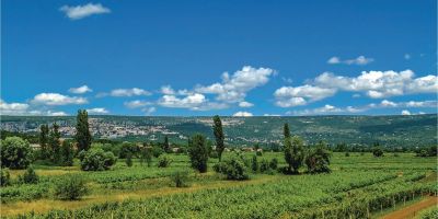 Vendégház Zmijavci - CSC481 - foto 5