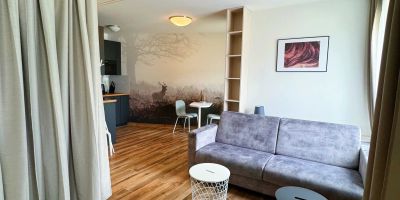 KLÍNOVEC Real Estate s.r.o. Loučná pod Klínovcem - foto 4