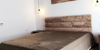 Agropensiunea Anotimpuri Albeştii Pământeni - foto 5