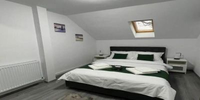 Alio Guest House Zărnești - foto 3