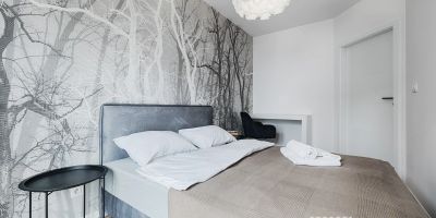 Apartament Diasfera Prestige by LookAp Łódź - foto 4