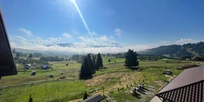 Casa Șaru Bucovinei Şaru Dornei - foto 4