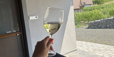 Somló Éden Somlószőlős - foto 5