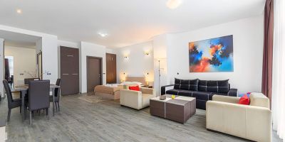 Alpine Escape Studio - Silver Mountain - Poiana Brașov - foto 2