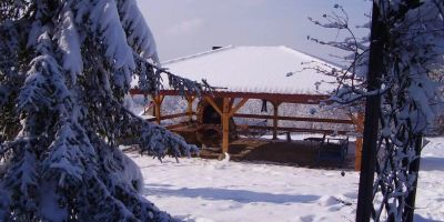 Ściborówka - foto 2