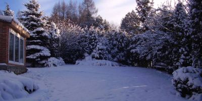 Ściborówka - foto 5