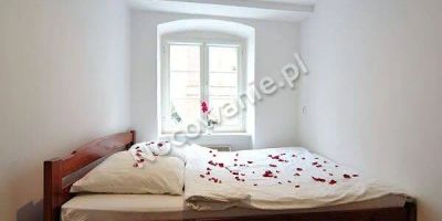 Apartament Pod Krzywą Wieżą Toruń - foto 4