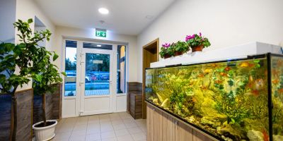 Gellén Panzió Debrecen - foto 3