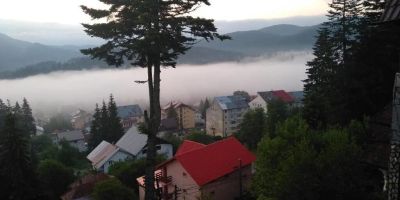 Pensiunea Turistică Milcov-Vlădeț Predeal - foto 4