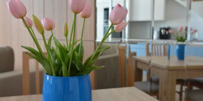 Apartament Mario Mechelinki II - foto 3