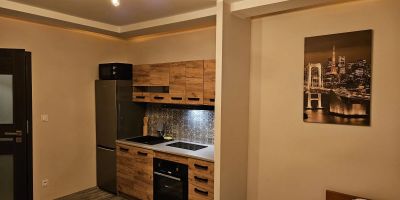 Apartamenty Pokoje Koleczkowo - foto 3