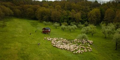 Valea Verde Retreat Cund - foto 5
