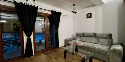 Casa Iris Mogoșa - foto 3