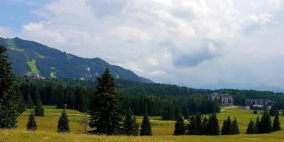 Mountain Relax Apartment Poiana Brașov - foto 3